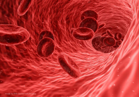 profilaktyczne badania krwi, zamów pakiet badania z konsultacją lekarską wyników